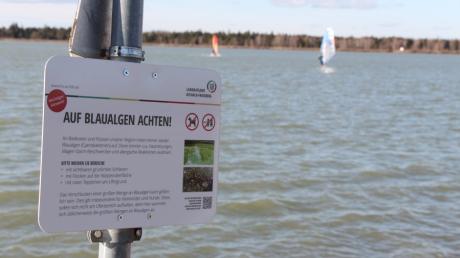 Diese Schilder warnen vor der Gefahr durch die Blaualgen am Mandichosee.