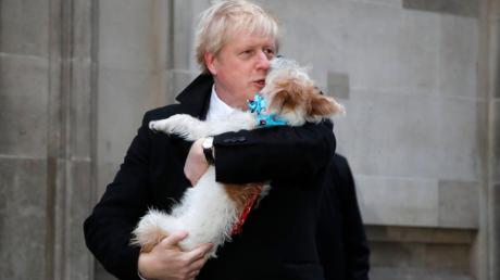 Premierminister Boris Johnson und sein Jack Russell Terrier "Dilyn".