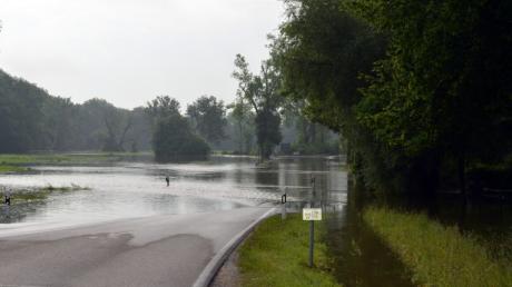 Bei einem großen Hochwasser an der Donau wird im Landkreis Dillingen Wasser ins Ried ausgeleitet. Der Riedstrom springt dann an. 