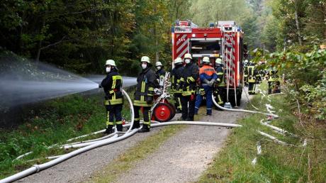 Bei der großen Waldbrandübung in Bergheim sind am Samstag rund 150 Rettungskräfte vieler Organisationen im Einsatz.