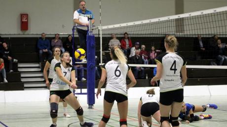 Die Volleyballerinnen der DJK Augsburg-Hochzoll (am Ball Ekatarina Steber) zeigten gegen Fürth eine ansprechende Leistung. 
