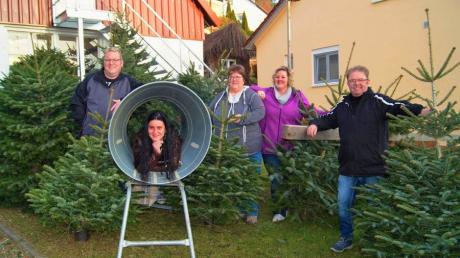 Familie Langenmaier freut sich auf viele Christbaumkäufer, die helfen, den Lift von Ben aus Röfingen zu finanzieren.