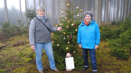 Übungsleiterin Elisabeth Schott und die Gymnastikabteilungsleiterin Maria Badtke haben den Christbaum im Wald schon gefunden.