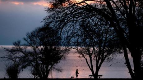Die Seele baumeln lassen: Ein Mann kurz vor Sonnenaufgang am Ufer des Ammersees mit seinem Vierbeiner.
