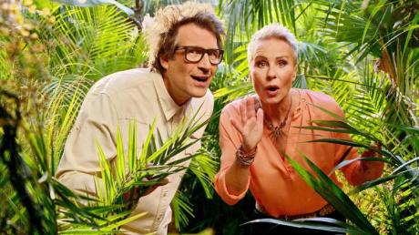 Daniel Hartwich und Sonja Zietlow moderieren das RTL-Dschungelcamp.