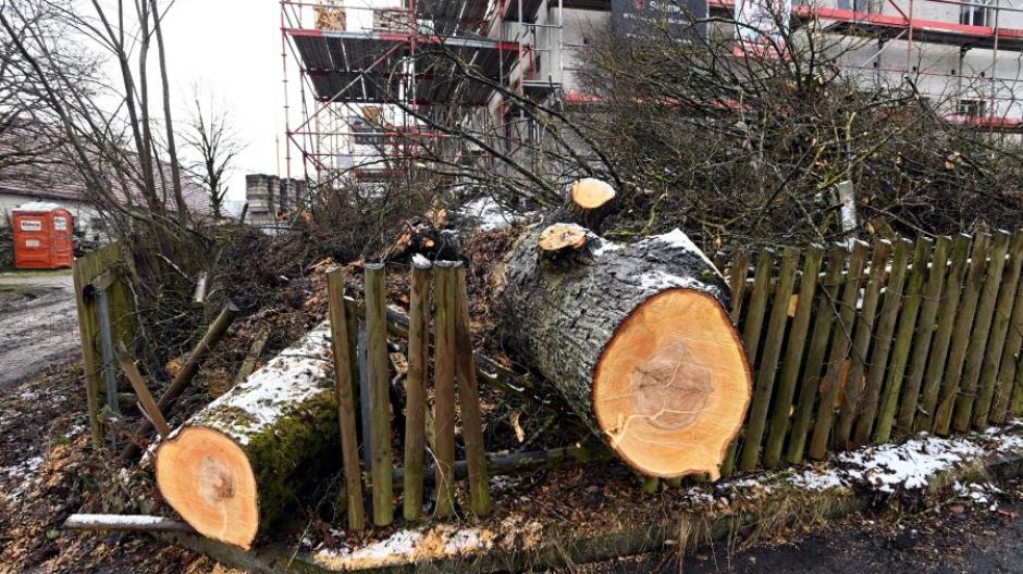In Hainhofen sägte die Polizei einen Baum beim ehemaligen Gasthof Mayr ab.