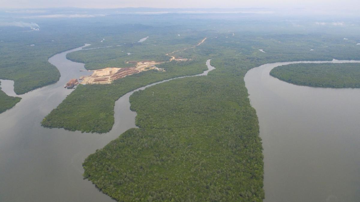 Project Nusantara: Indonesia mendapat ibu kota baru di hutan