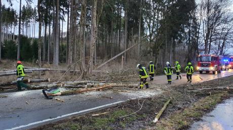 Das Sturmtief Ylenia sorgte für einen Feuerwehreinsatz in Babenhausen. Ein Baum war auf eine Straße gestürzt.