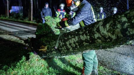 Ein Feuerwehrmann durchtrennt mit einer Motorsäge einen umgestürzten Baum.