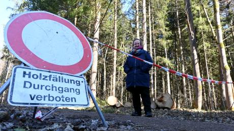 Andrea Halbritter war beim Besuch des Gedenkorts bei Horgau entsetzt über die Folgen der Waldarbeit. Der Forstbetriebsleiter versichert: "Am Gelände ist nichts zerstört worden." 