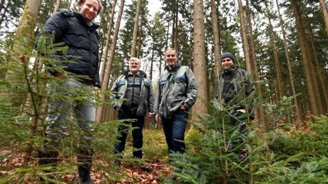 Im Wald: Ferdinand Graf von Spreti mit seinem Betriebsleiter André Dubetz (rechts) mit Hubert Meßmer und Axel Heiß vom Amt für Ernährung, Landwirtschaft und Forsten.