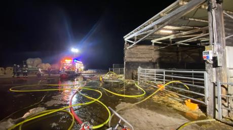 Der Brand in einem Stall in Gundelfingen hat zu einem Großeinsatz von Feuerwehrkräften, einem Tierarzt,  sechs Polizeibeamten, dem Technische Hilfswerk und dem Rettungsdienst geführt.