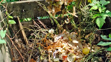Ein Komposthaufen hat sich in Oberwaldbach entzündet. 