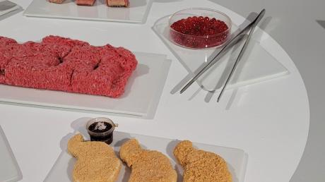 In der Ausstellung „Essen als Bekenntnis“ geht es nicht nur um religiöse Aspekte, sondern zum Beispiel auch (wie hier) um In-vitro-Fleisch.