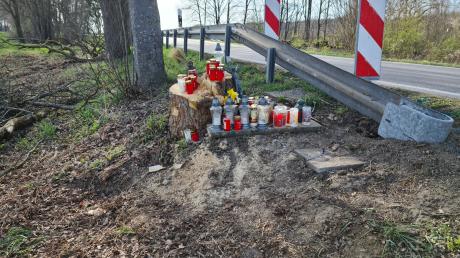 Unbekannte haben an der Staatsstraße 2035 bei Gundelsdorf den Baum gefällt, gegen den zuletzt ein 24 Jahre alter Autofahrer geprallt war.
