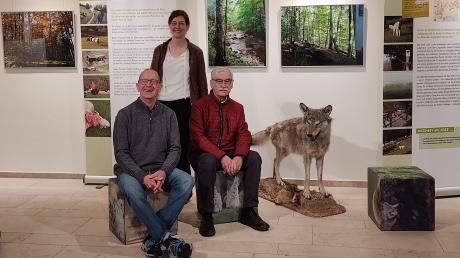 Reinhold Spielmann, Johanna Haug und Anton Kammermeier (von links) haben die Ausstellung "Die großen Vier" attraktiv für Jung und Alt gestaltet.