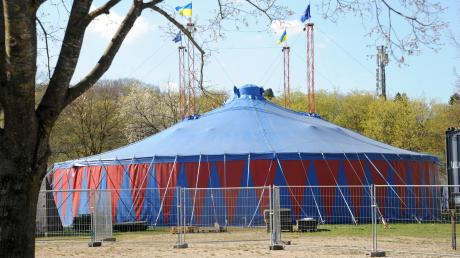 Am 18. Mai beginnt die 34. Spielzeit des Ulmer Zelts mit Pippo Pollina. Das Zelt in der Friedrichsau steht bereits.
