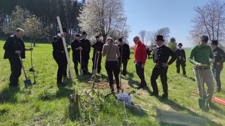Die Kaminkehrer aus allen 13 Kehrbezirken im Landkreis trafen sich zu einer gemeinsamen Obstbaumpflanzaktion in Untergriesbach (Stadt Aichach).