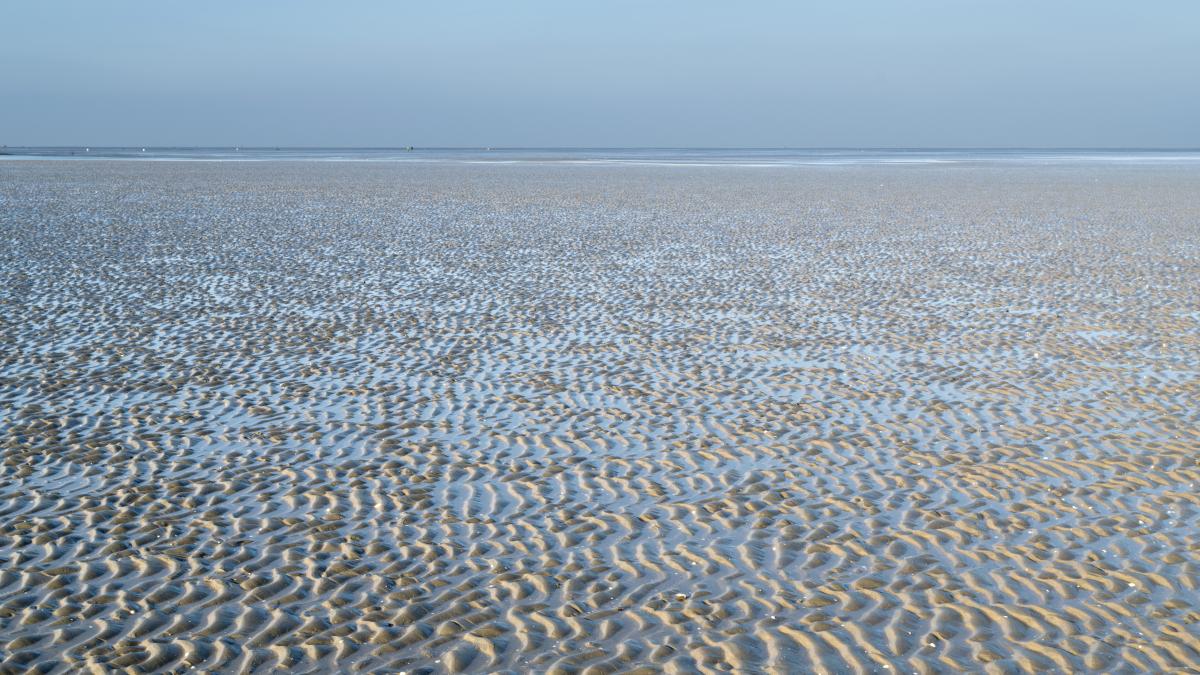 #Reise: Klimawandel im Wattenmeer: Wo es gurgelt, sprudelt und plätschert
