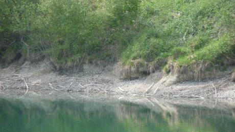 Der abgesenkte Stau der Donau bei Bertoldsheim macht sich durch Niedrigwasser im Griesweiher deutlich bemerkbar. Niederschönenfeld befürchtet bei der von Uniper angestrebten Erhöhung des Staues erhebliche Nachteile durch hohen Grundwasserstand.