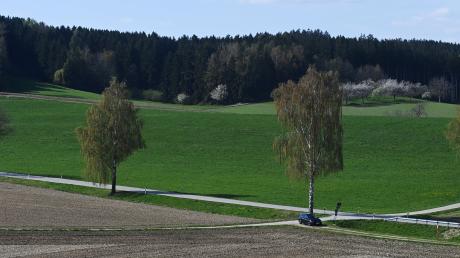 Auf dieser landwirtschaftlichen Fläche am östlichen Ortsende von Lützelburg will ein Investor eine Photovoltaikanlage errichten.