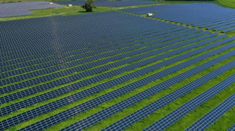 In Deiningen könnte eine 30 Hektar große Freiflächen-Fotovoltaikanlage entstehen.