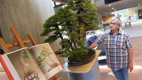 In Augsburg startet am Freitag die Europäische Bonsai Ausstellung im Kongress am Park.  Hier zu sehen: Organisator Harald Lehner mit einer etwa 200 Jahre alten Ajan Fichte.