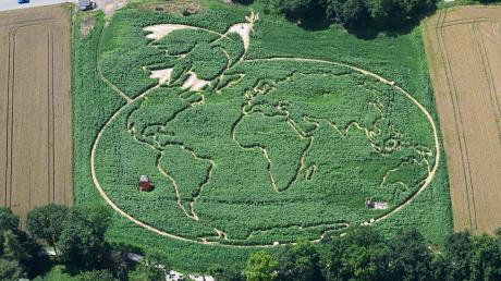 Aus gegebenem Anlass besteht das Uttinger Feld-Labyrinth aus der Weltkarte mit Friedenstaube. 