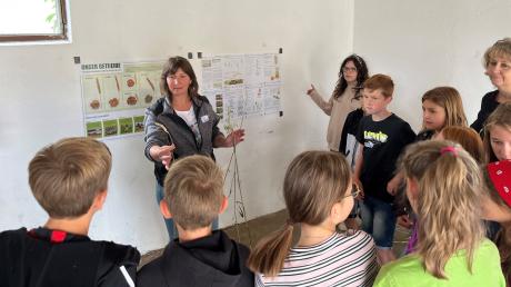 Alexandra Löfflad erklärt den Schülerinnen und Schülern der Klasse 5b der Realschule Maria Stern die Getreidesorten. Die Klasse nahm teil am Programm "Erlebnis Bauernhof".