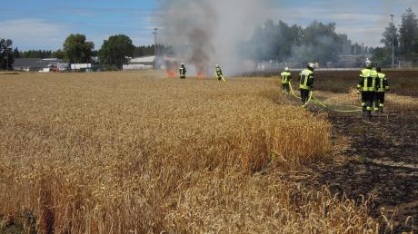 Ein Weizenfeld zwischen Foret und Stettenhofen stand am Mittwochnachmittag in Flammen. Die Feuerwehr konnte den Brand löschen.