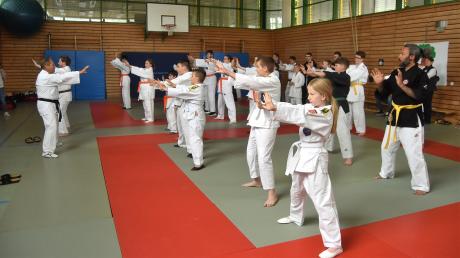 Seit zehn Jahren findet in Senden Judo-Training mit und ohne Handicap statt.