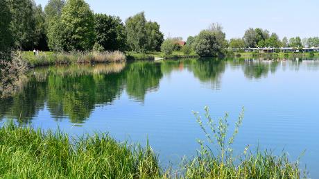 Blaualgen wurden am Silbersee in Rettenbach nachgewiesen. Jetzt herrscht Badeverbot.