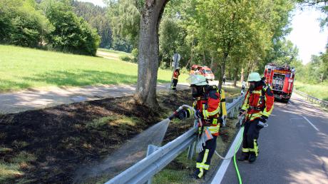 Entlang der Landesstraße 260 ist am frühen Mittwochnachmittag zwischen Dietenheim und Regglisweiler ein Geländestreifen in Brand geraten.