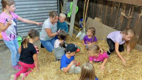 Beim Bauernhoferlebnistag im Rahmen des Ferienprogramms in Kettershausen konnten die Kinder im Jahr 2021 Schätze im Stroh suchen.