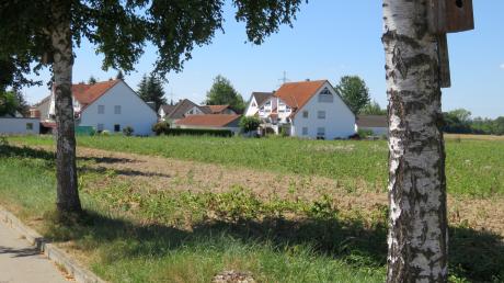 Gegen das neue Baugebiet nordöstlich von Pfaffenhofen haben Landwirte Einspruch erhoben.                             