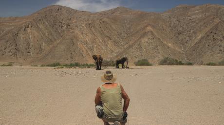 Bei seinen Reisen durch Namibia konnte Franz Grieser mehrfach Löwen oder, wie hier, Elefanten aus der Nähe beobachten.