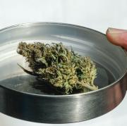 Cannabis wird in Deutschland legalisiert. Damit kann in absehbarer Zeit straffrei Hanf verkauft werden.