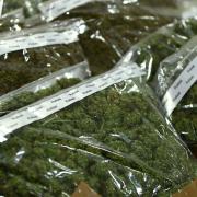 Mehrere Kilo Drogen, darunter Marihuana und Haschisch, hat die Polizei in Pfaffenhofen gefunden.