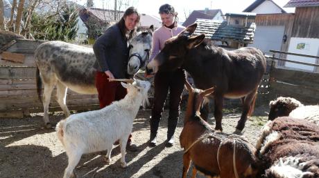 Sara (links) und Carmen Decker leben auf ihrem Permakulturhof in Reichertshofen mit Ziegen, Eseln und Schafen.