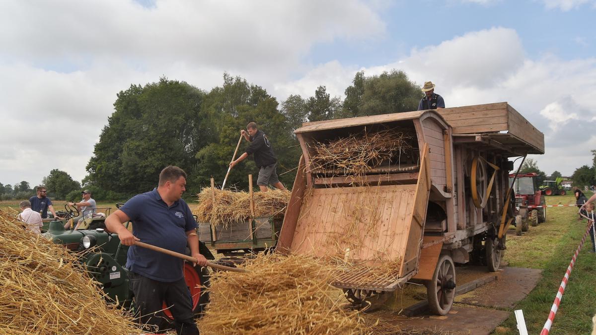 #Wullenstetten: Alte Landmaschinen rattern beim „Stoppelfest“ in Wullenstetten