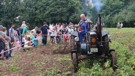 Fritz Wiedenmann steuert den Traktor Lanz mit dem Kartoffelroder über das Feld in Maihingen, dahinter sammeln die Kinder die Kartoffeln ein.