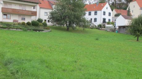 In Obergriesbach könnte ein Projekt zum Mehrgenerationenwohnen entstehen. Als mögliches Grundstück haben die Initiatoren eine 2400 Quadratmeter große Wiese hinter zwei Bestandsgebäuden (links) an der Annastraße 3 im Blick.