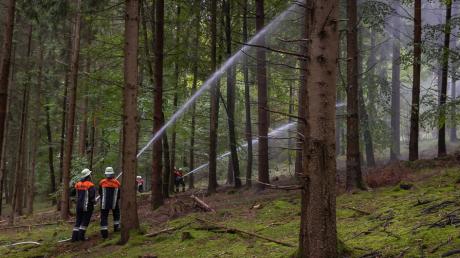 Mehr als 200 Feuerwehrleute haben am Samstag an einer Übung bei Fremdingen teilgenommen. Simuliert wurde auch ein Waldbrand, Probleme gab es mit dem steilen Gelände.