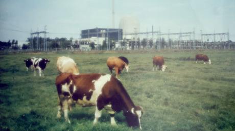 Gundremmingen war von der Landwirtschaft geprägt. Mit dem Entstehen des Kernkraftwerks gaben viele Bewohner diese auf. 