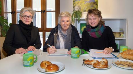 Beim Pressegespräch Kreisbüro der Grünen äußern sich (von links) Gabriele Triebel, Monika Groner und Renate Standfest zur Situation rund um das Klinikum.