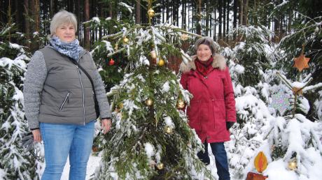 Elisabeth Schott und Maria Badtke haben wieder einen Sternenweg zum Weihnachtsbaum gefunden.
