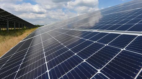 In Lauingen soll ein neuer Solarpark entstehen. Doch die Naturschutzbehörde hat Bedenken.