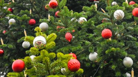 Bewohnerinnen und Bewohner des Pflegeheims in Diedorf können ihre Wünsche nach Zeit und Gemeinsamkeit an einen Wunschbaum hängen.