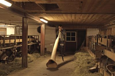 Der mit den Kühen spricht: Galerie in Oberschönenfeld zeigt Jonas Maria Ried