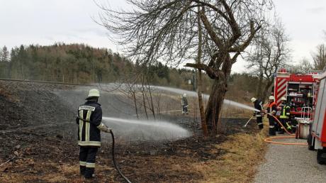 Im Frühjahr 2021 musste die Feuerwehr mehrmals ausrücken, um Brände an der Bahntrasse bei Kellmünz zu löschen. Der Brandstifter wurde damals von Spaziergängern durch Zufall auf frischer Tat ertappt.